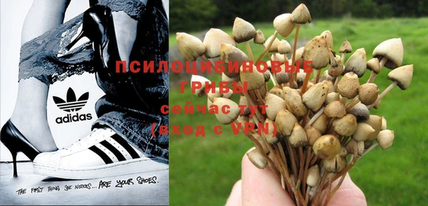 ешки Михайловск