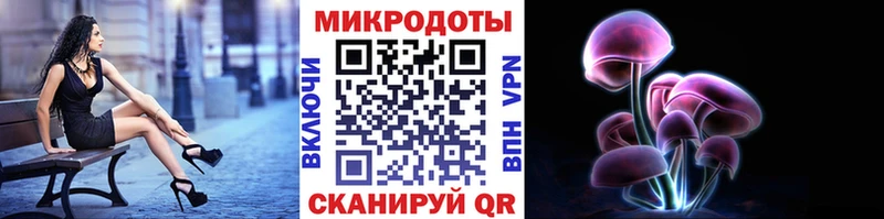 купить наркотик Невельск Псилоцибиновые грибы Cubensis
